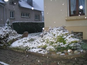 neige